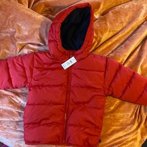GAP Toddler Coat